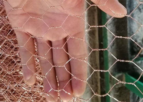 Ele Galvanized Before Woven Hexagonal Wire Netting Mountain Protection